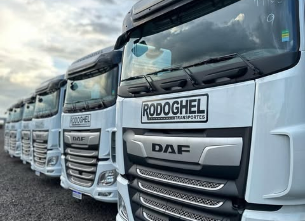 Frota Rodoghel